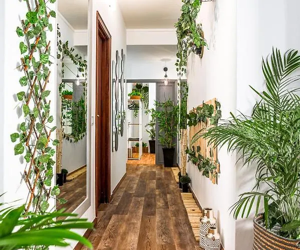 Avenue View Rooms - Guest House